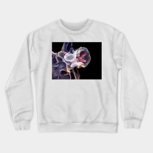 Macrophage engulfing TB bacteria, SEM (C006/6706) Crewneck Sweatshirt